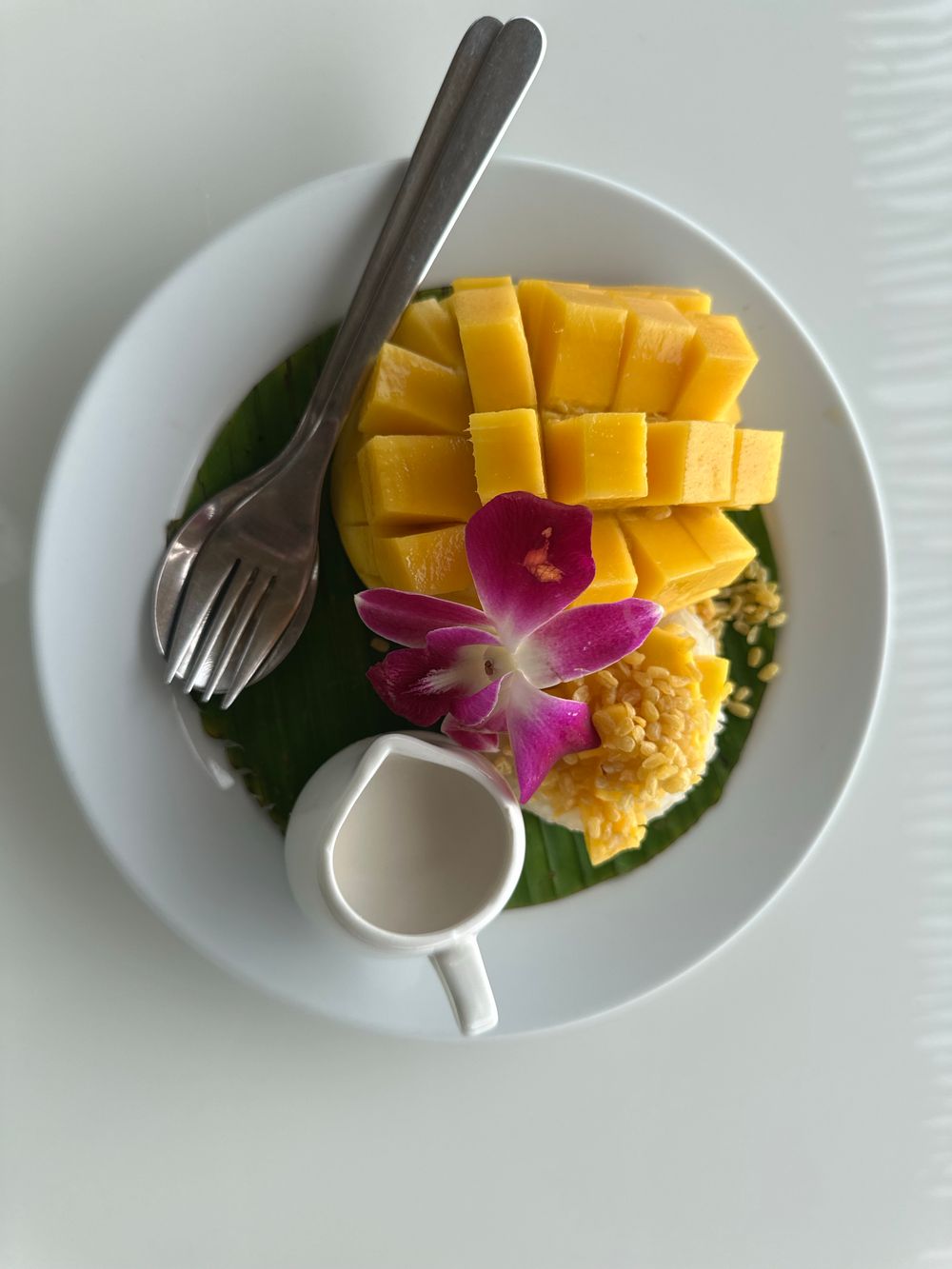 Mango sticky rice
